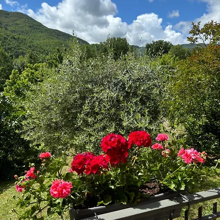 Voce Del Casentino Castel San Niccolo