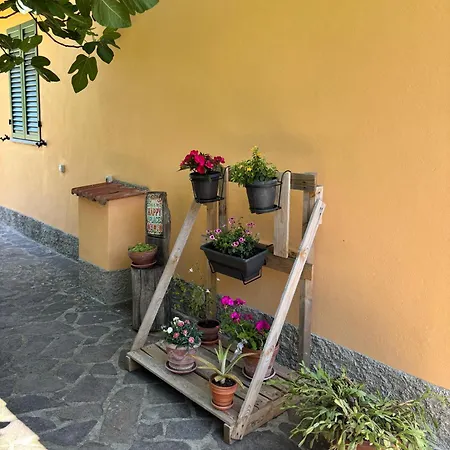 Voce Del Casentino * Castel San Niccolo